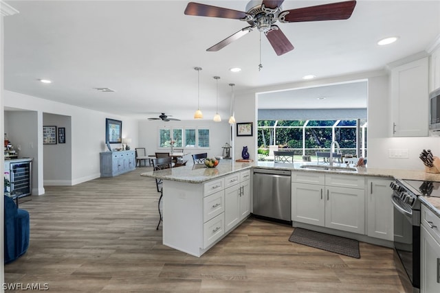 kitchen featuring appliances with stainless steel finishes, sink, ceiling fan, and a healthy amount of sunlight