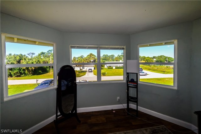 interior space featuring a healthy amount of sunlight and dark hardwood / wood-style floors