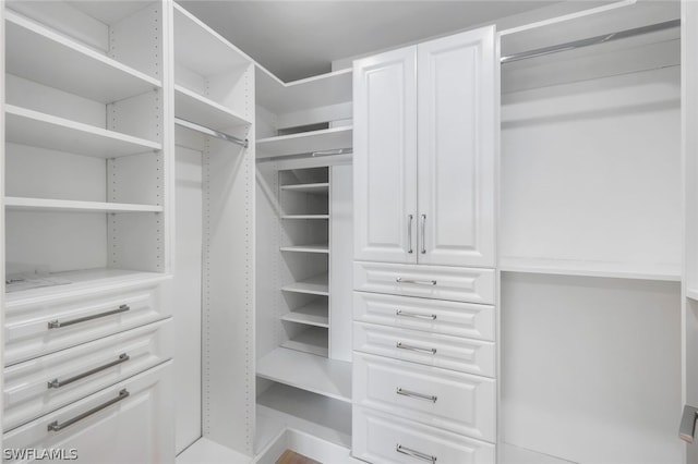 view of spacious closet