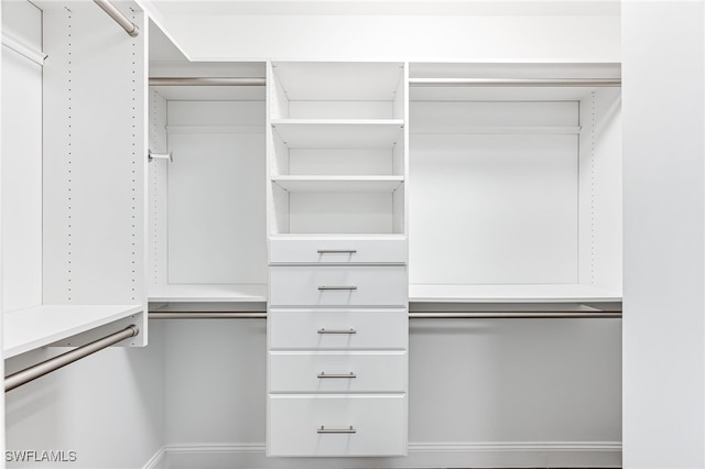 view of spacious closet