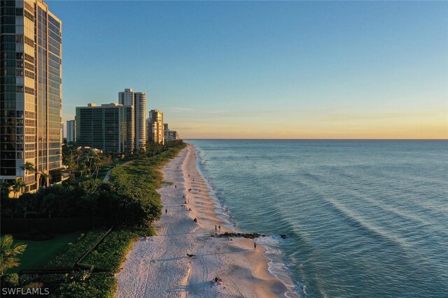 property view of water with a view of the beach