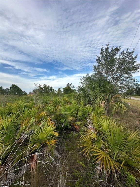 2604 26th St W, Lehigh Acres FL, 33971 land for sale