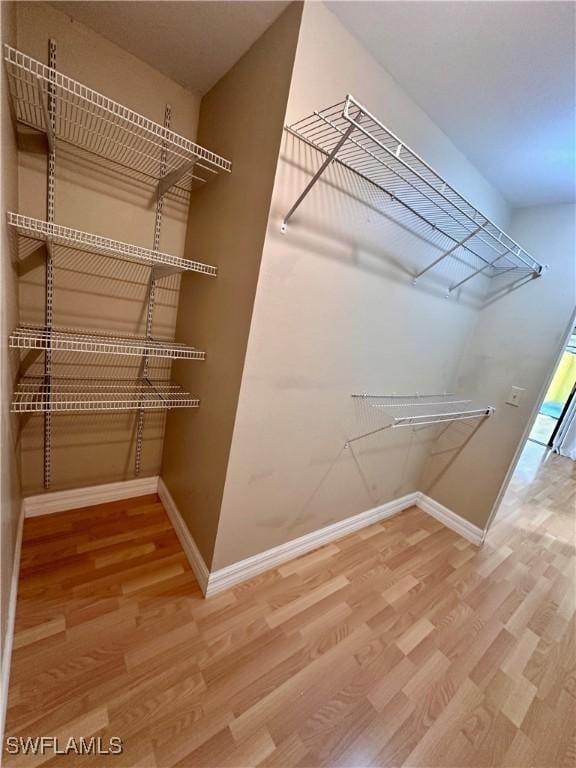 spacious closet featuring wood-type flooring