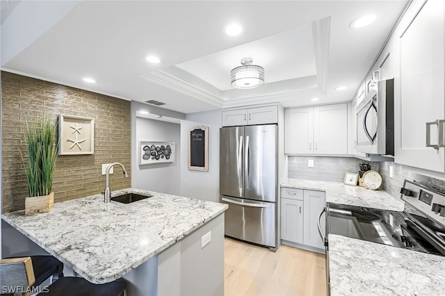 kitchen featuring sink, light hardwood / wood-style floors, a raised ceiling, and stainless steel appliances