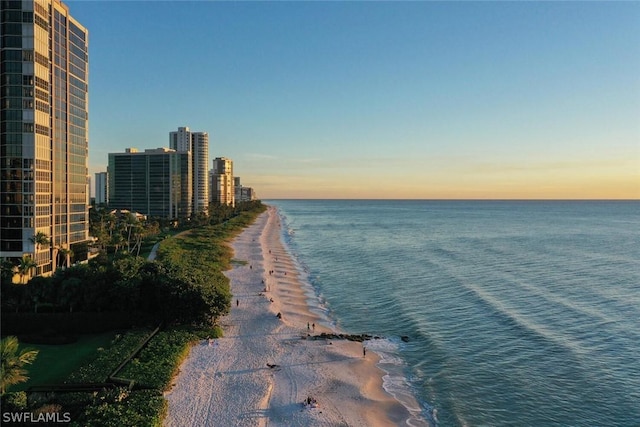 property view of water with a beach view