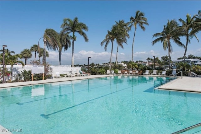 view of swimming pool