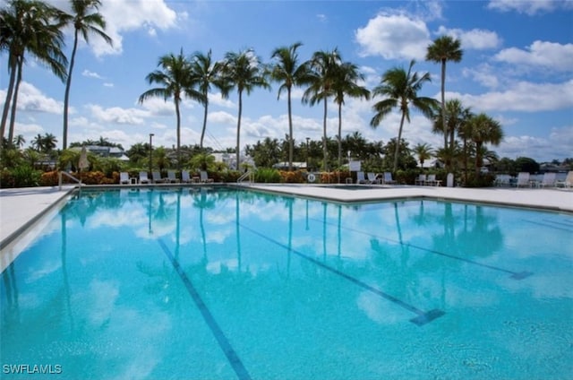 view of swimming pool