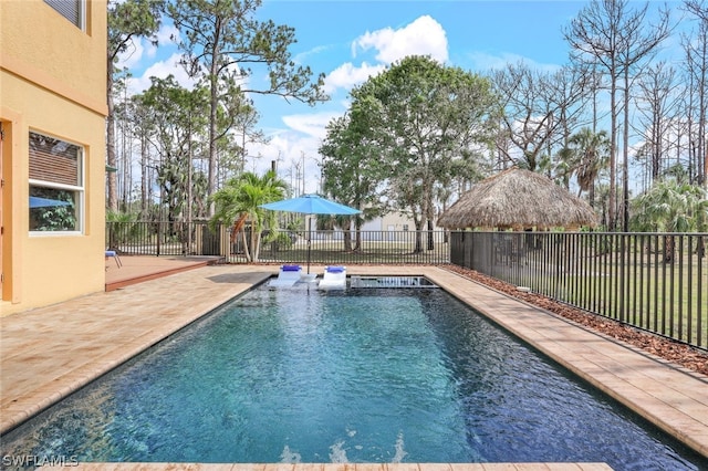 view of pool with a patio area