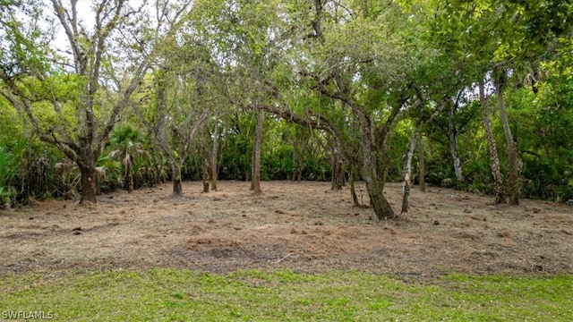 Listing photo 2 for March Ln, Labelle FL 33935