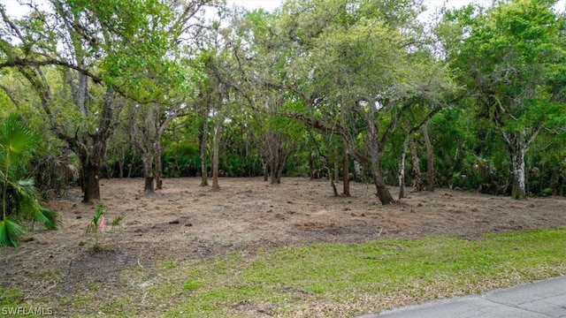 Listing photo 3 for March Ln, Labelle FL 33935