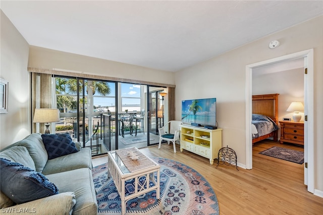 living room featuring light hardwood / wood-style flooring