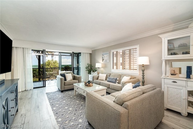 living room featuring light hardwood / wood-style floors and ornamental molding