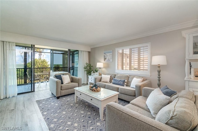 living room with crown molding and light hardwood / wood-style flooring