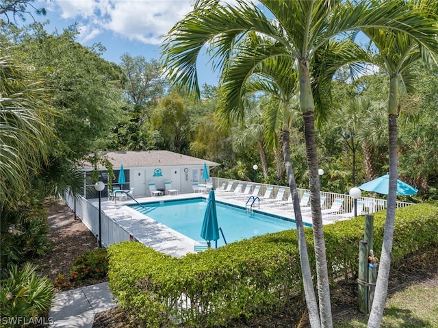 view of pool with a patio area