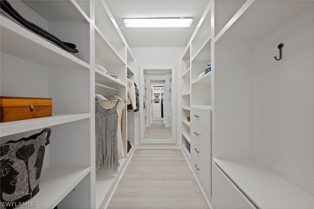 spacious closet with light wood-type flooring