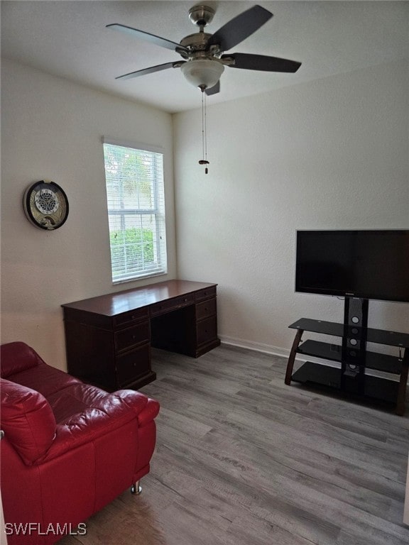 home office with ceiling fan and light hardwood / wood-style flooring