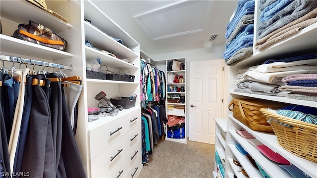 spacious closet featuring light carpet