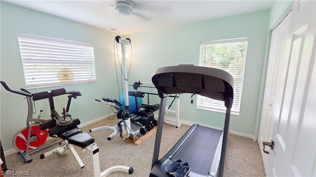 workout area with carpet floors, a healthy amount of sunlight, and ceiling fan