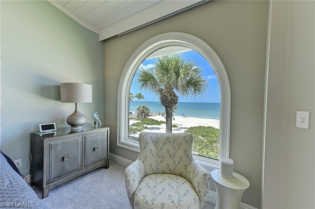 sitting room featuring plenty of natural light, carpet flooring, and a water view