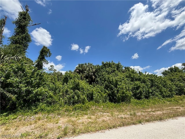 1117 Ralph St, Lehigh Acres FL, 33974 land for sale