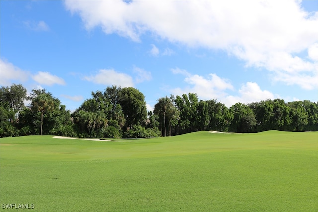 view of community with a lawn