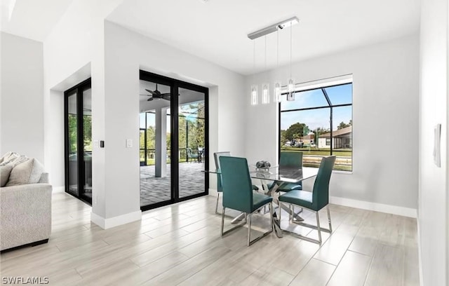 dining room with ceiling fan and light wood-type flooring