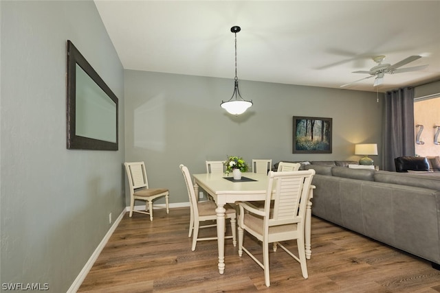 dining room with ceiling fan and hardwood / wood-style flooring