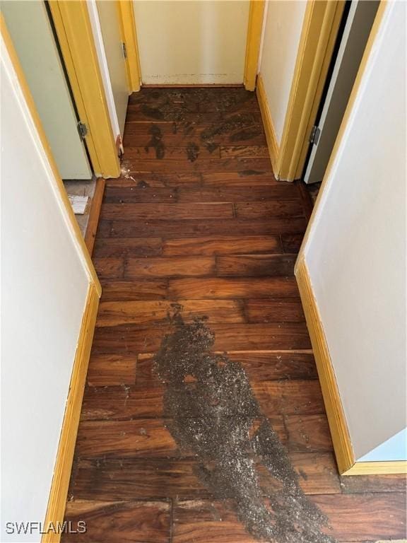 stairway with wood-type flooring