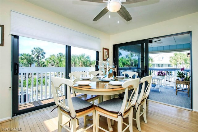 dining area with plenty of natural light, light hardwood / wood-style floors, and ceiling fan