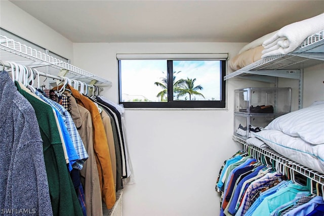 view of spacious closet