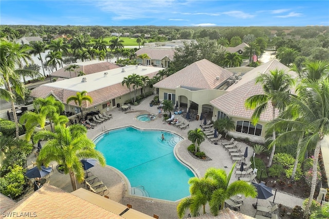 view of swimming pool featuring a patio