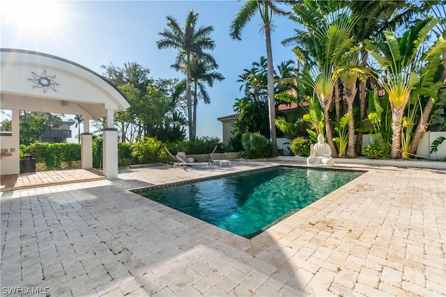 view of swimming pool featuring a patio area