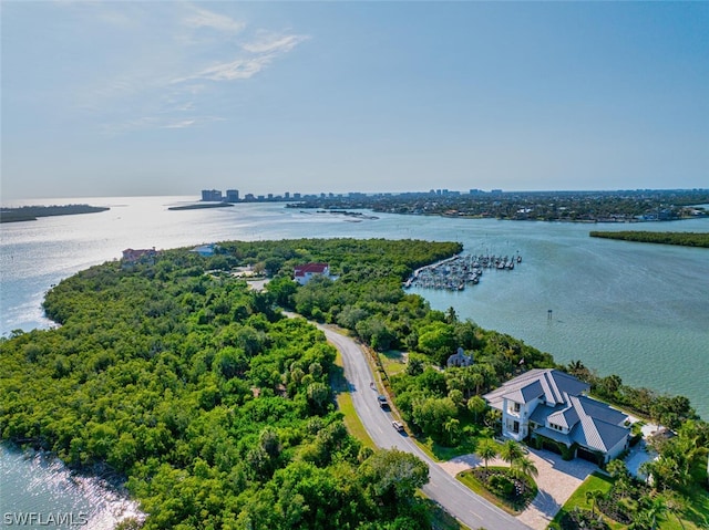 aerial view with a water view