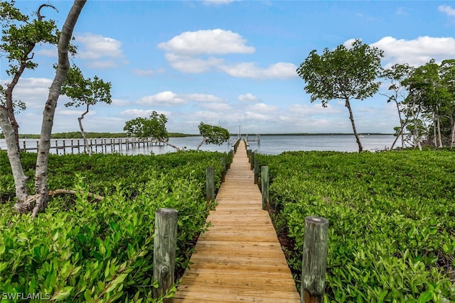 dock area with a water view