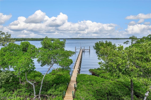 dock area with a water view