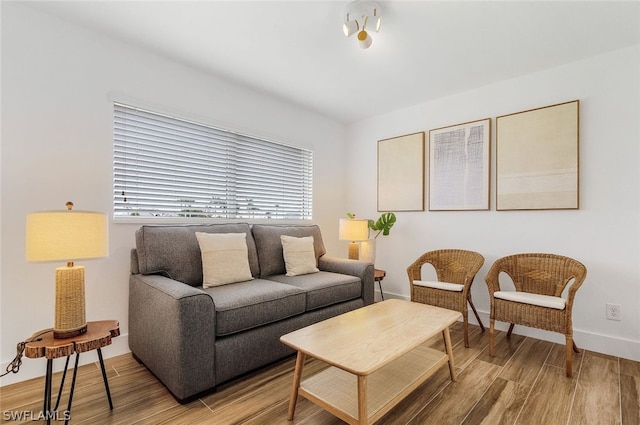 living room with wood-type flooring