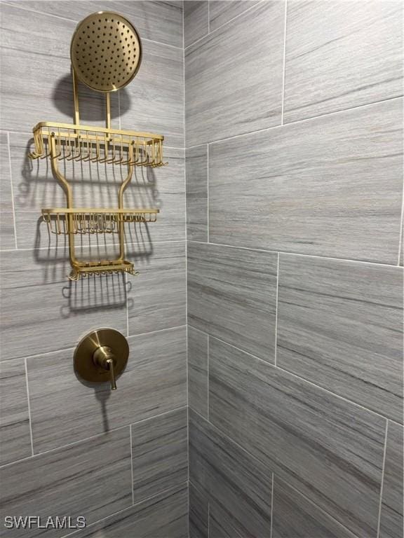 room details with tiled shower