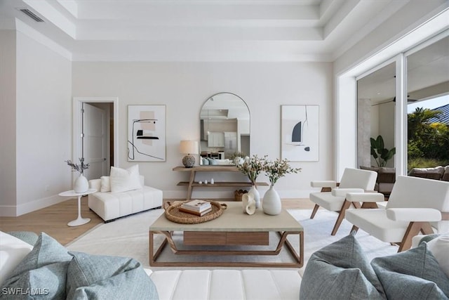 living room with light wood-type flooring and a raised ceiling