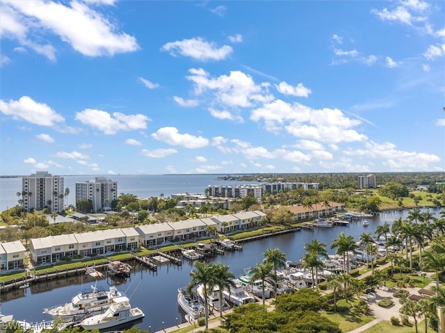 bird's eye view with a water view