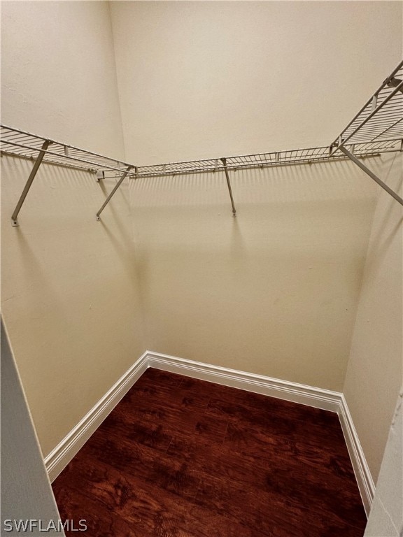 walk in closet featuring hardwood / wood-style floors