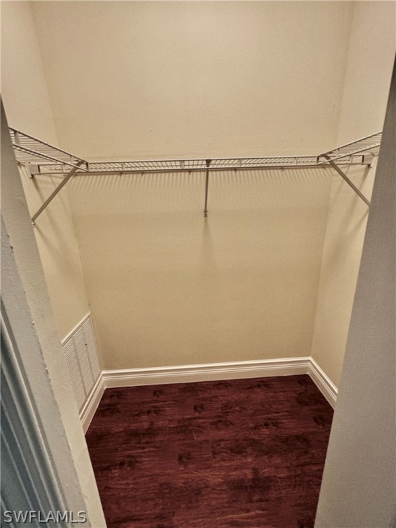 spacious closet featuring wood-type flooring