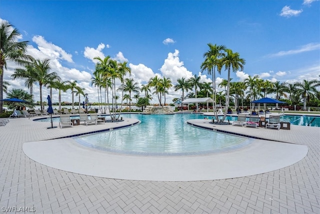 view of swimming pool with a patio