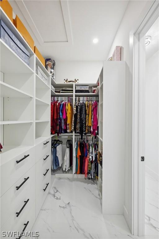 view of spacious closet