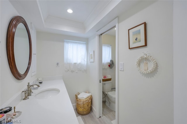 bathroom with a raised ceiling, vanity, and toilet