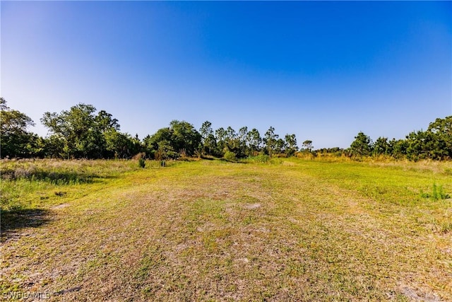 view of yard with a rural view