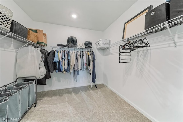 walk in closet with carpet