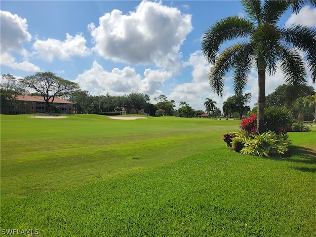 view of community with a lawn