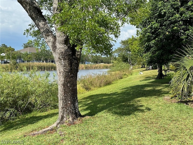 view of yard with a water view