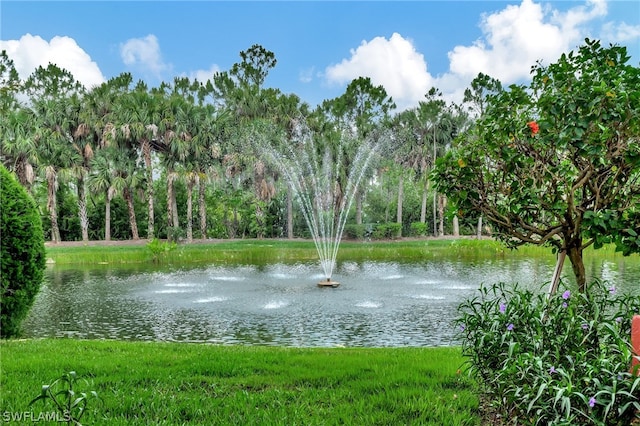 view of property view of water