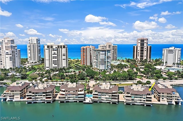 aerial view with a water view